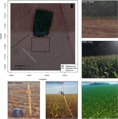 Can matrix structure affect animal navigation between fragments? A dispersal experiment using release platforms