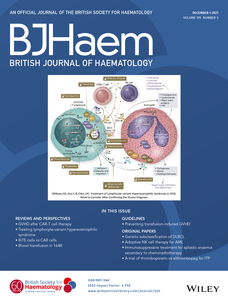 Precursor B‐cell acute lymphoblastic leukaemia—a global view