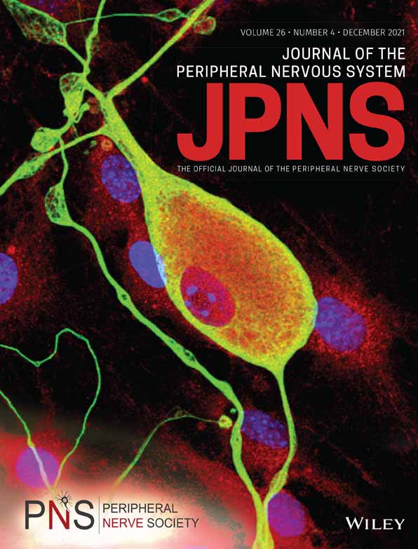 Vitamin B6 Levels Do Not Correlate with Severity of Neuropathy in Chronic Idiopathic Axonal Polyneuropathy