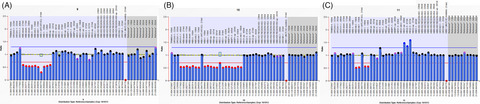 Genetic research and clinical analysis of β‐globin gene cluster deletions in the Chinese population of Fujian province: A 14‐year single‐center experience