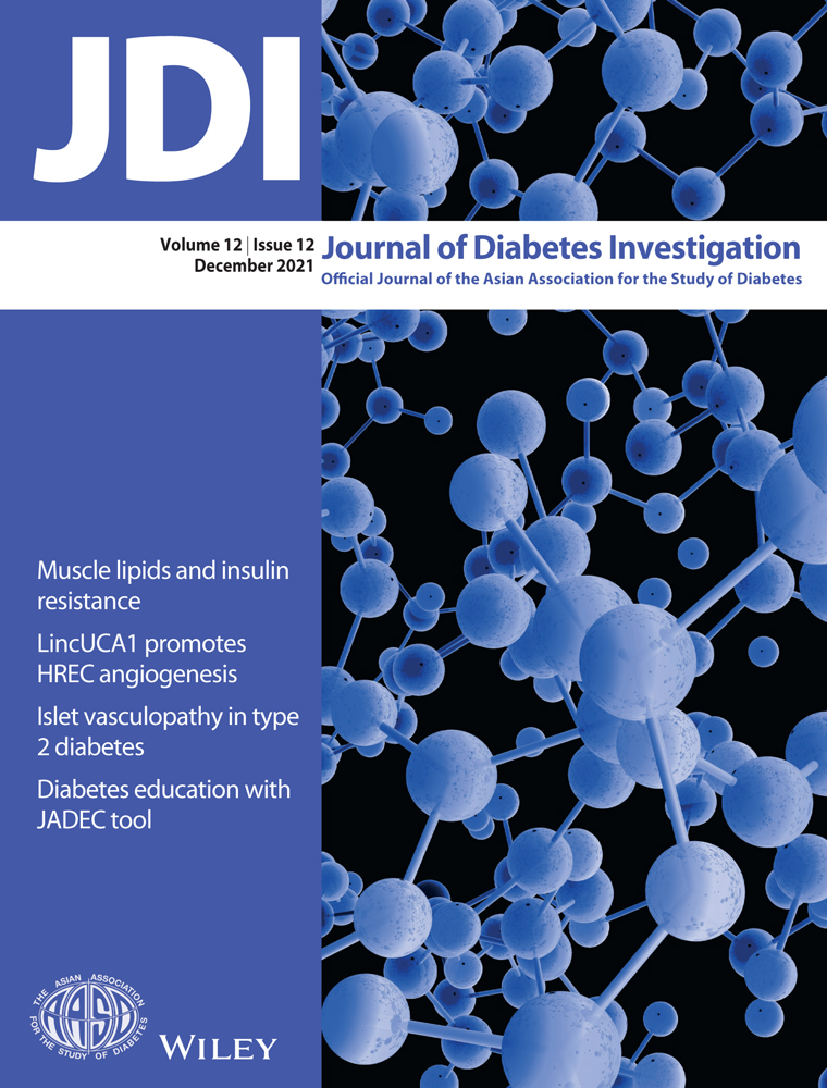 Predictive ability of current machine learning algorithms for type 2 diabetes mellitus ‐ A meta‐analysis