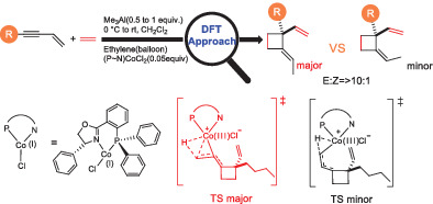 Mechanistic study of cobalt(I)‐catalyzed asymmetric coupling of ethylene and enynes to functionalized cyclobutanes