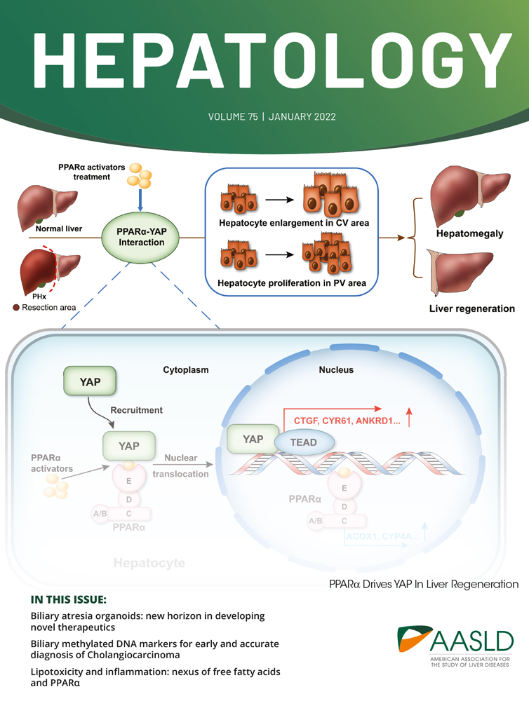 Letter to the Editor: Importance of Universal Screening for Chronic Hepatitis B Infection in Adults in the United States