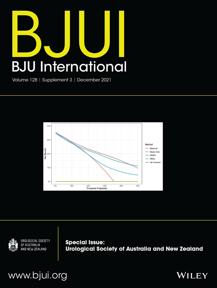 Ethnic and socio‐economic disparities in prostate cancer screening: lessons from New Zealand