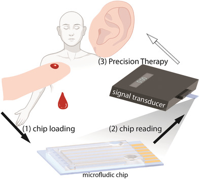 Extracellular Biomarkers of Inner Ear Disease and Their Potential for Point‐of‐Care Diagnostics