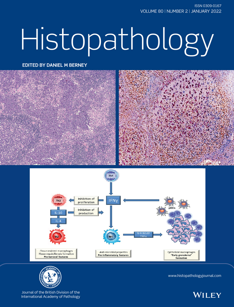 Looking forward for ’Histopathology‘