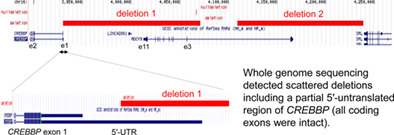 Divergent variant patterns among 19 patients with Rubinstein‐Taybi syndrome uncovered by comprehensive genetic analysis including whole genome sequencing