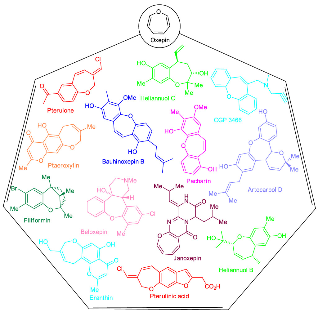 Exciting progress in the transition metal‐catalyzed synthesis of oxepines, benzoxepines, dibenzoxepines, and other derivatives