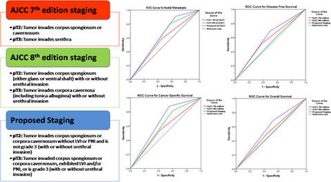 A comparative study of AJCC and the modified staging system in pT2/pT3 penile squamous cell carcinoma – a validation on an external data set