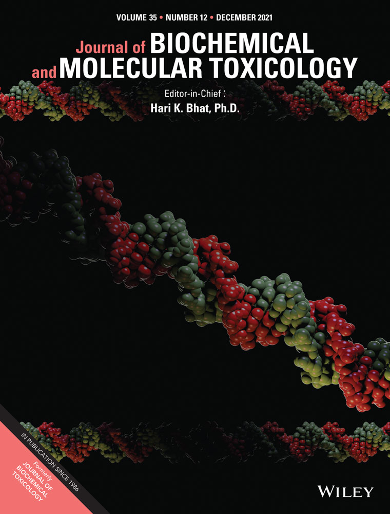 Effect of m6A methyltransferase METTL3 ‐mediated MALAT1/E2F1/AGR2 axis on adriamycin resistance in breast cancer