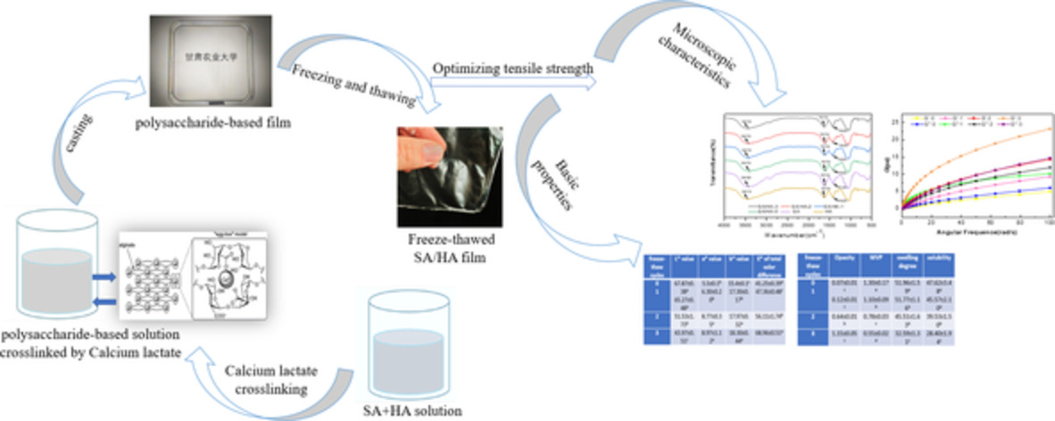 Freeze–thaw enhanced stability and mechanical strength of polysaccharide‐based sodium alginate/hyaluronic acid films