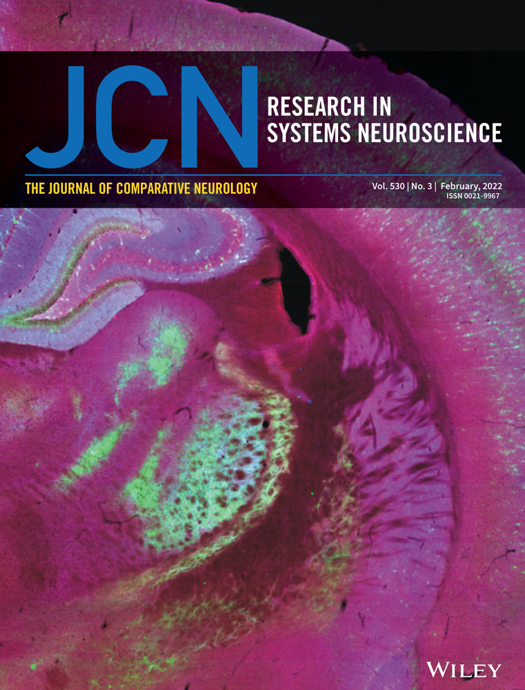 The Journal of Comparative Neurology, Table of Content, Vol. 530, No. 3, February, 2022