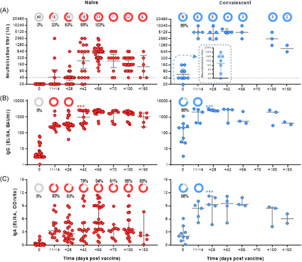 Kinetics and persistence of anti‐SARS‐CoV‐2 neutralisation and antibodies after BNT162b2 vaccination in a Swiss cohort