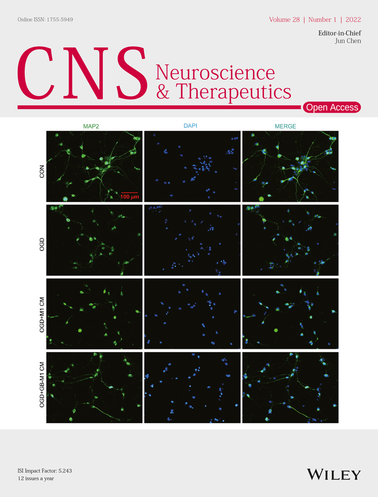 Glioblastoma multiforme with vertebral metastases: A case report