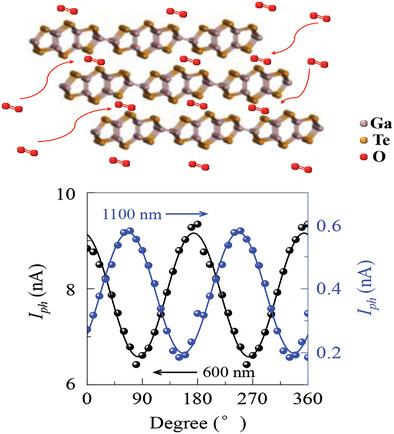 Breaking the Cut‐Off Wavelength Limit of GaTe through Self‐Driven Oxygen Intercalation in Air