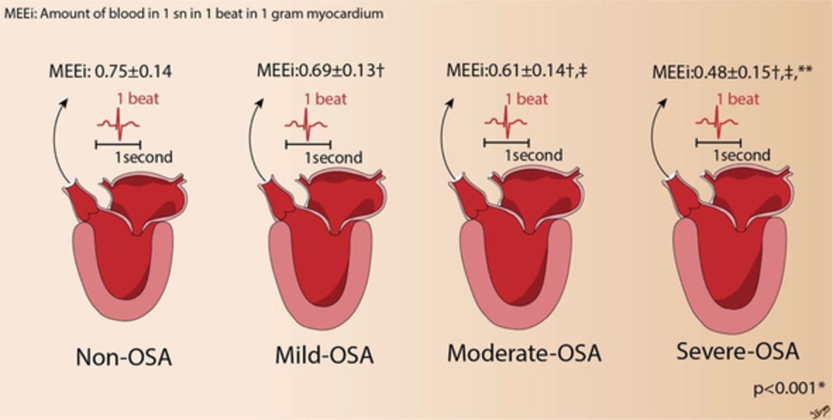 Obstructive sleep apnea is associated with depressed myocardial mechanoenergetics