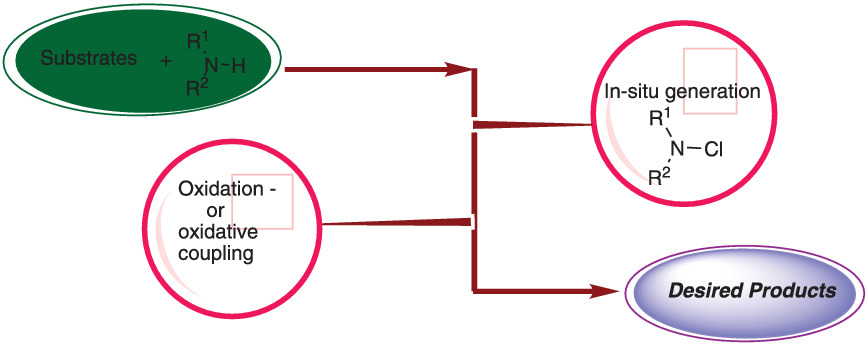 A new outlook in oxidative transformations and coupling reactions via in situ generation of organic chloramines