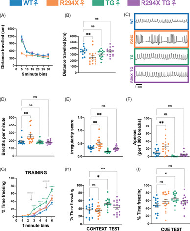 Safety and efficacy of genetic MECP2 supplementation in the R294X mouse model of Rett syndrome