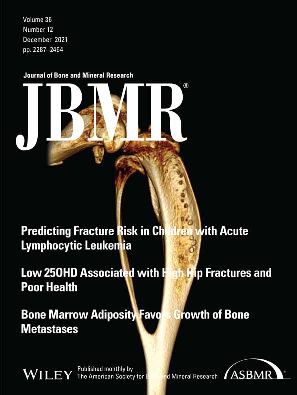 Bone Microarchitecture in Transgender Adults: a Cross Sectional Study