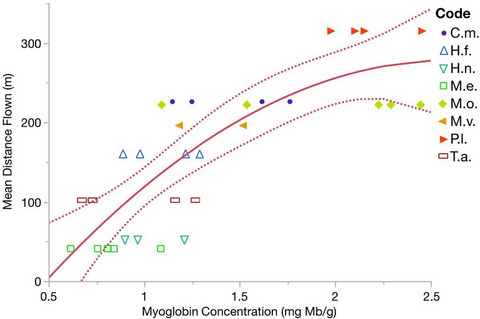 Myoglobin as a conservation‐relevant predictor of short‐distance flight capacity in Neotropical forest birds