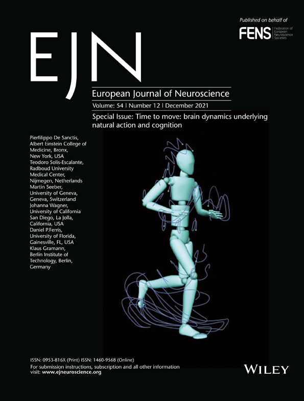 Common principles in the lateralisation of auditory cortex structure and function for vocal communication in primates and rodents