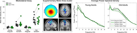 Aging‐related changes in cortical mechanisms supporting postural control during base of support and optic flow manipulations