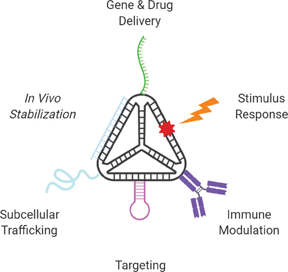 Functionalizing DNA nanostructures for therapeutic applications