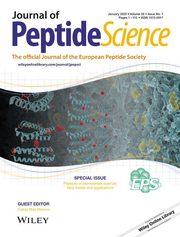 Backbone distortions in lactam‐bridged helical peptides