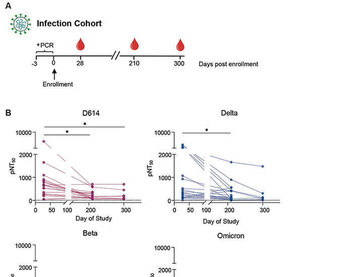 Antibodies elicited by SARS-CoV-2 infection or mRNA vaccines have reduced neutralizing activity against Beta and Omicron pseudoviruses