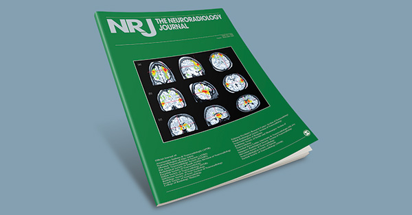 Radial spoiled gradient T1 weighted imaging of the internal auditory canal: Is Scarpa’s ganglion now an expected finding and source of fundal enhancement?