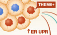 Can THEM6 targeting stop resistance to prostate cancer treatment?