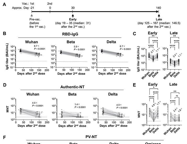 SARS-CoV-2 Omicron-neutralizing memory B-cells are elicited by two doses of BNT162b2 mRNA vaccine