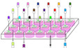 A clinically compatible drug‐screening platform based on organotypic cultures identifies vulnerabilities to prevent and treat brain metastasis