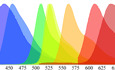 miR‐AB, a miRNA‐based shRNA viral toolkit for multicolor‐barcoded multiplex RNAi at a single‐cell level