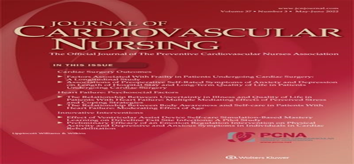 American Heart Association Council on Cardiovascular and Stroke Nursing Liaison Report on Diversity, Equity, and Inclusion