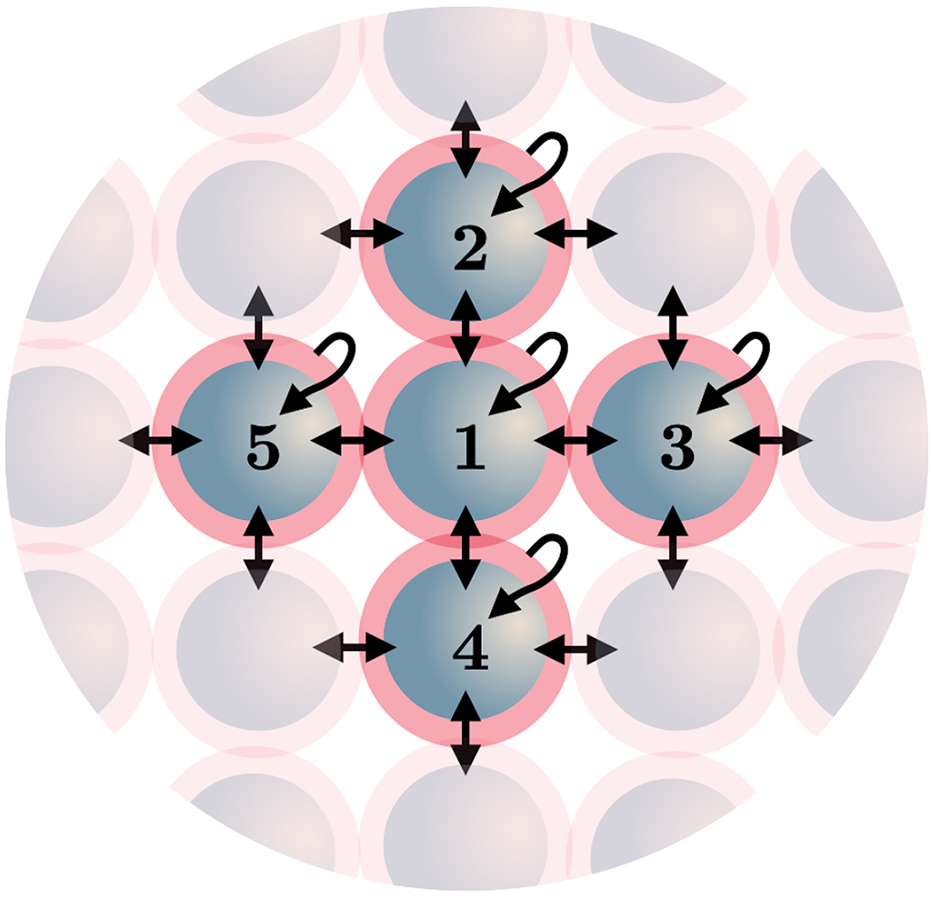 Quantitative models for building and growing fated small cell networks