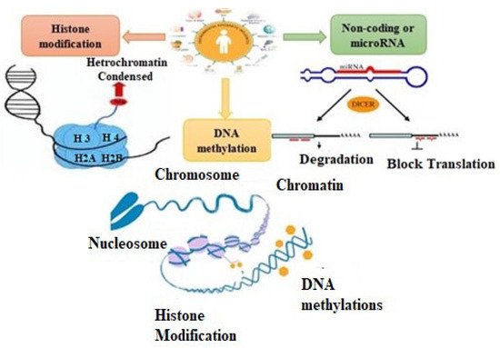 Cardiogenetics, Vol. 12, Pages 218-234: Studying Epigenetics of Cardiovascular Diseases on Chip Guide