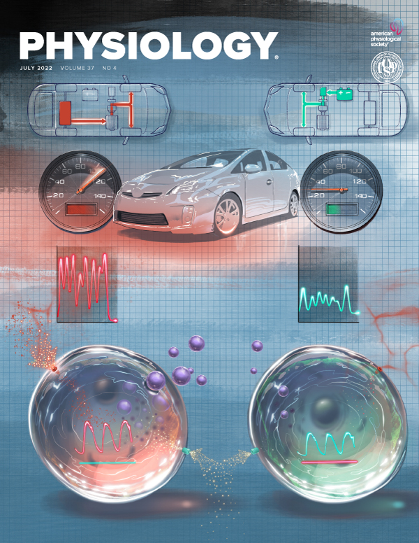 THE PHYSIOLOGY OF GLYMPHATIC SOLUTE TRANSPORT AND WASTE CLEARANCE FROM THE BRAIN