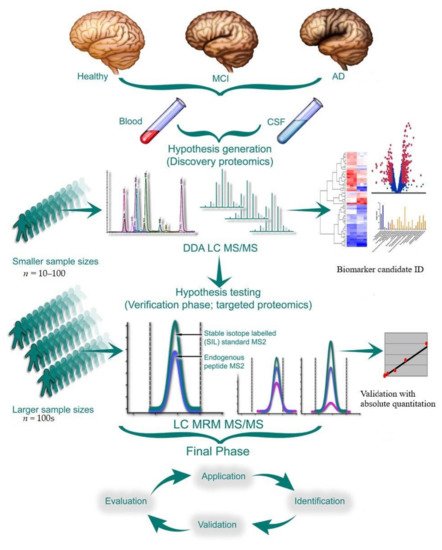 Proteomes, Vol. 10, Pages 26: Proteomic Discovery and Validation of Novel Fluid Biomarkers for Improved Patient Selection and Prediction of Clinical Outcomes in Alzheimer’s Disease Patient Cohorts