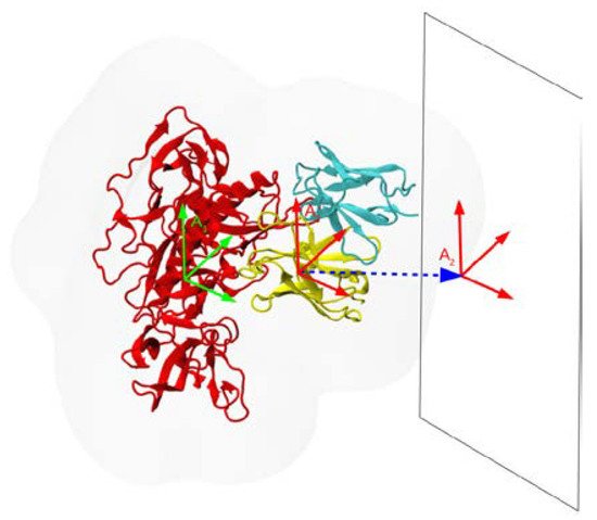 Antibodies, Vol. 11, Pages 51: On the Rapid Calculation of Binding Affinities for Antigen and Antibody Design and Affinity Maturation Simulations