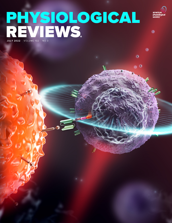 Neutrophil extracellular traps in the pathology of cancer and other inflammatory diseases