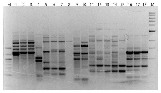 Microbiology Research, Vol. 13, Pages 643-654: Evaluation of Different Molecular Markers for Genotyping Non-Saccharomyces Wine Yeast Species