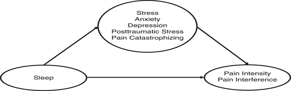 The Association Between Sleep Disturbance and Health Outcomes in Chronic Whiplash-associated Disorders: A Series of Mediation Analyses