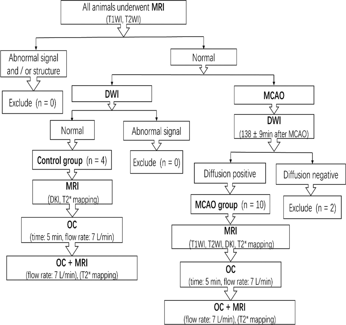 Oxygen Challenge Imaging Reveals Differences in Metabolic Activity Between Kurtosis Lesion and Diffusion/Kurtosis Lesion Mismatch in a Rodent Model of Acute Stroke