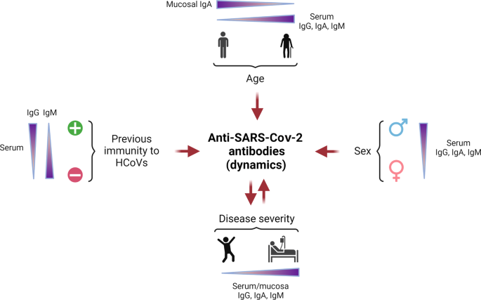 Role of the humoral immune response during COVID-19: guilty or not guilty?