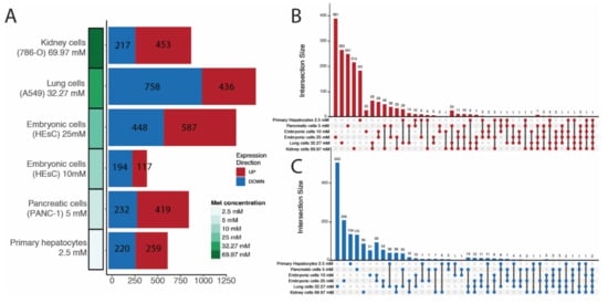 ncRNA, Vol. 8, Pages 68: Metformin Treatment Modulates Long Non-Coding RNA Isoforms Expression in Human Cells