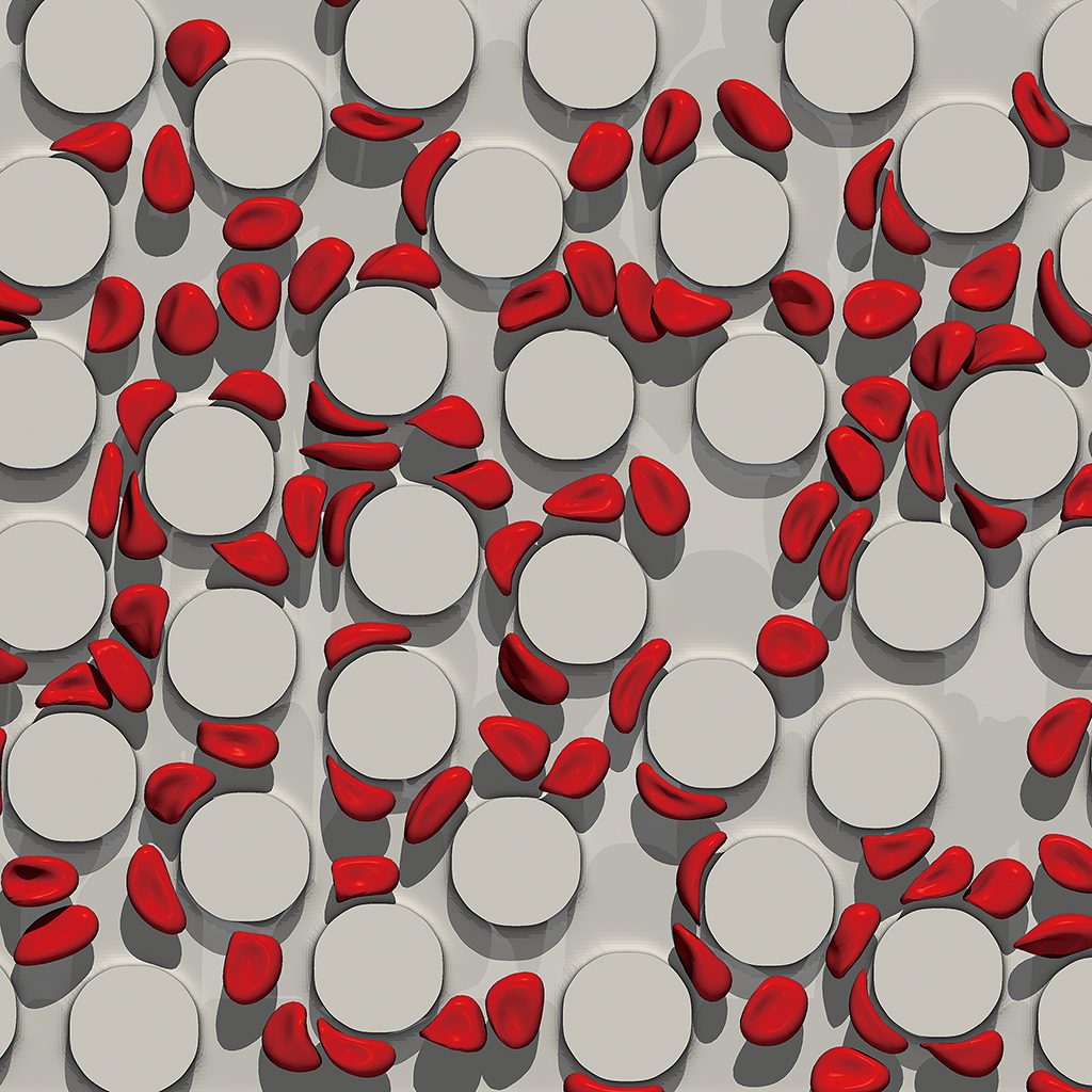 Frustrated ‘run and tumble’ of swimming Escherichia coli bacteria in nematic liquid crystals