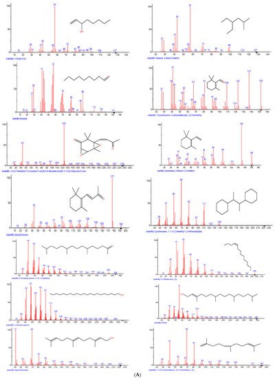 Sci. Pharm., Vol. 90, Pages 64: GC-MS Analysis of the Phytochemical Constituents, Safety Assessment, Wound Healing and Anti-Inflammatory Activities of Cucurbita pepo Leaf Extract in Rats