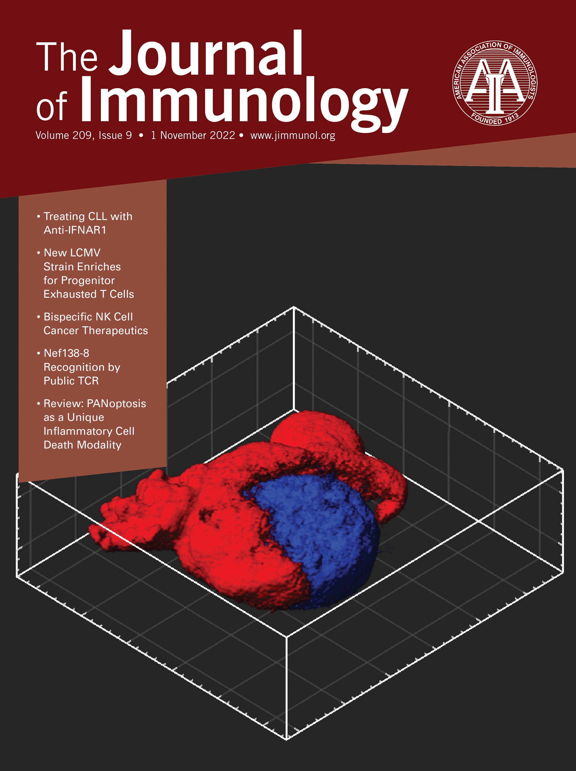 Enhanced IFN Sensing by Aggressive Chronic Lymphocytic Leukemia Cells [CLINICAL AND HUMAN IMMUNOLOGY]