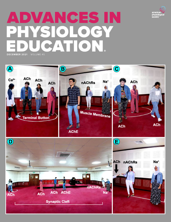 Ultrasound Imaging in Teaching Cardiovascular Physiology; Disruption and Challenge to Foster Learning